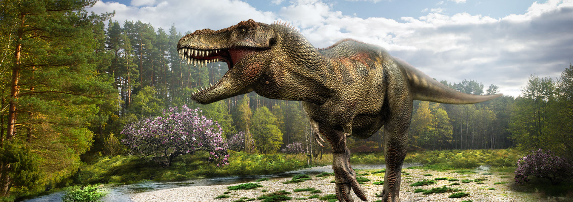 专业制作智能机器人、仿生恐龙、仿生动植物、影视道具